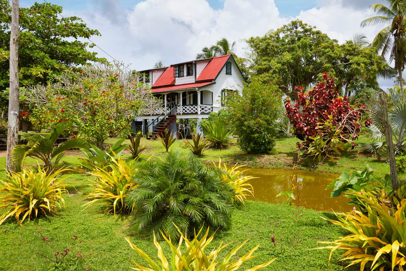 Fly en Drive in Switi Suriname Rondreis 1