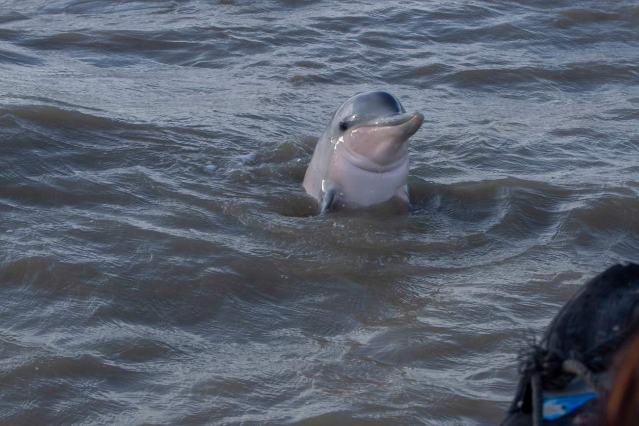 Fly en Drive in Switi Suriname Rondreis 4