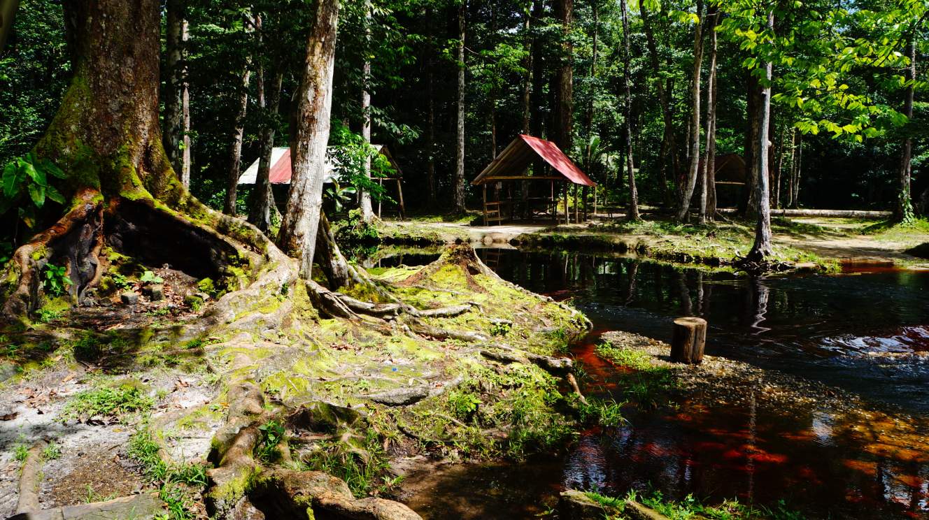 Fly en Drive Ontdek zelf Suriname  4