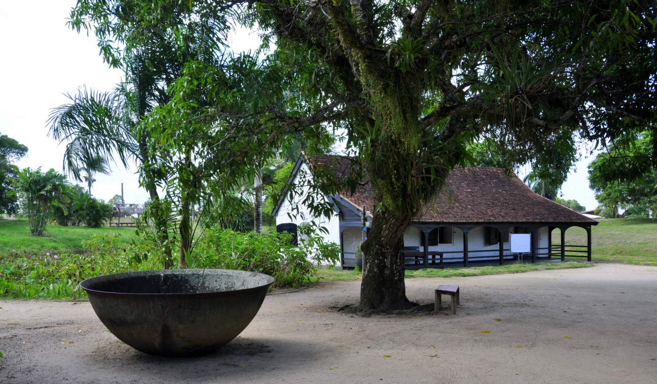 Fly en Drive Ontdek zelf Suriname  11